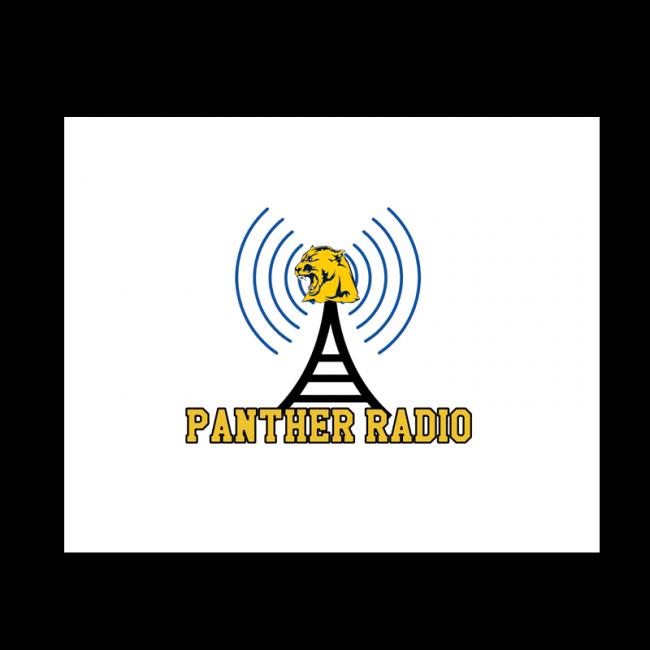 Panther Radio Logo